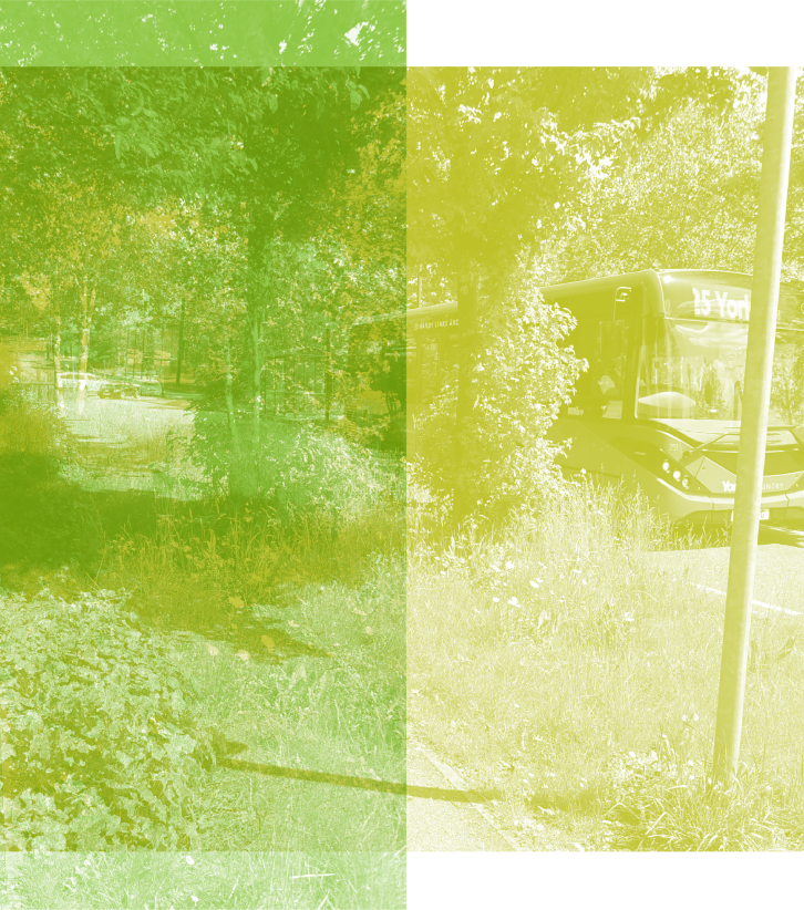A green collage of photos showing treescapes and a bus.
